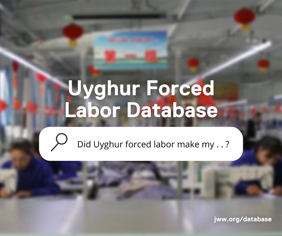 Uyghur Forced Labor Prevention Act Now In Effect 21wilberforce 5448
